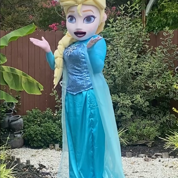 Adult costume Disney princess frozen, we can make any princess. - Picture 6 of 10